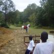 Horse Farm